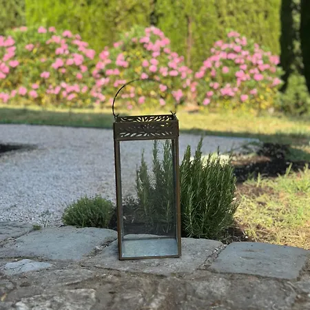 Semesterbostad Le Porrine Castelnuovo di Val di Cecina