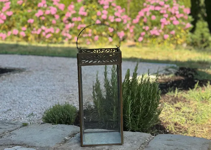 Σπίτι διακοπών Le Porrine Castelnuovo di Val di Cecina